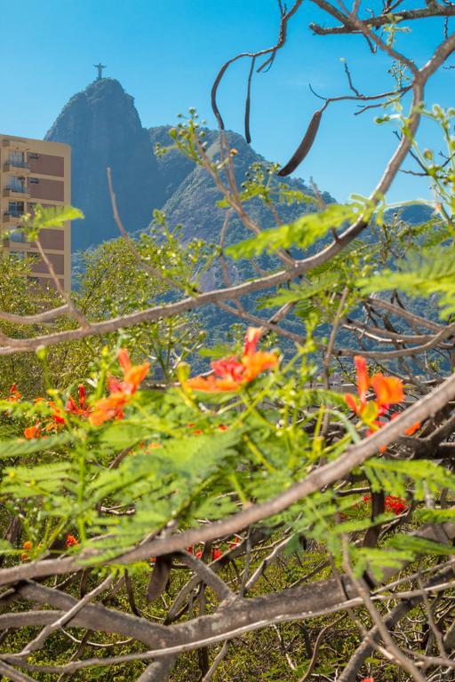Rio Nature Hostel Rio de Janeiro Rum bild