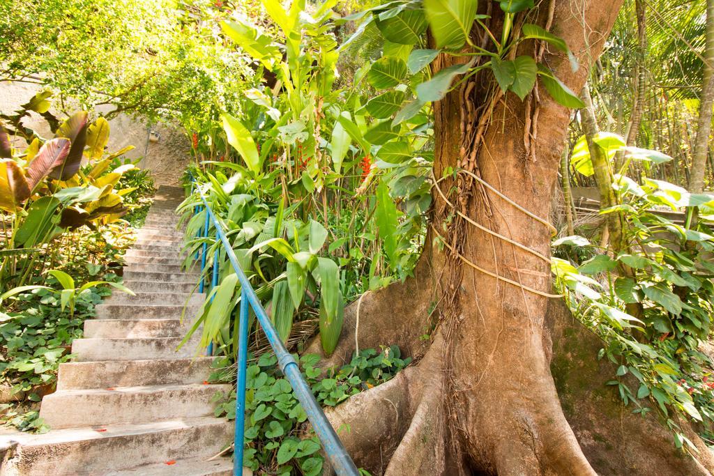 Rio Nature Hostel Rio de Janeiro Exteriör bild